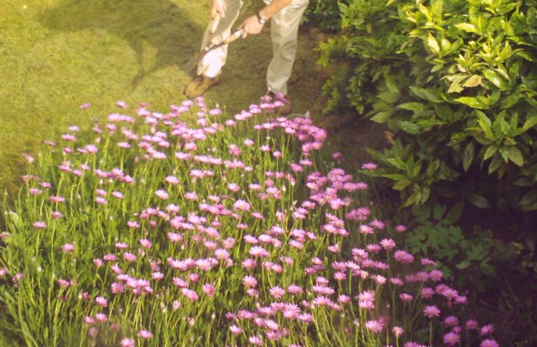 Gardening1BS