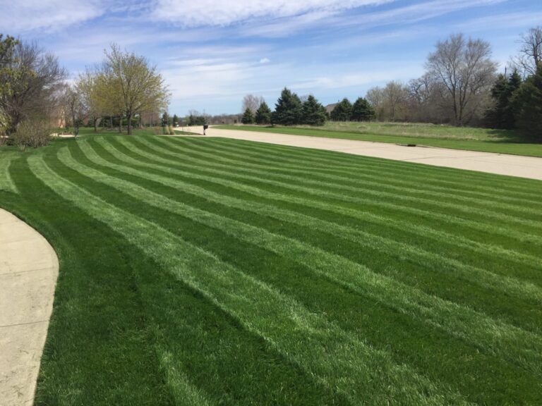 Freshly mowed lawn at the edge of three rocky acres in Eagle, Wisconsin.