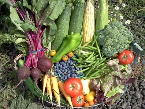 Veggie 1S